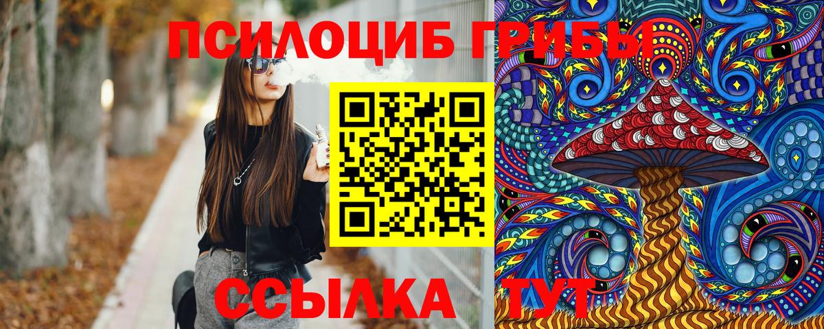 Галлюциногенные грибы MAGIC MUSHROOMS  Вход с VPN  Переславль-Залесский 