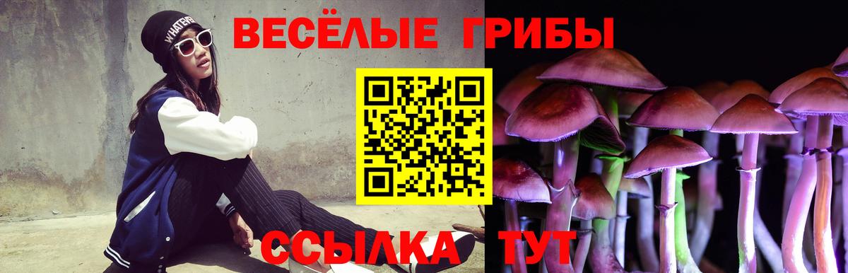 Псилоцибиновые грибы мицелий Переславль-Залесский